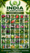 Mango plant nursery in malihabad